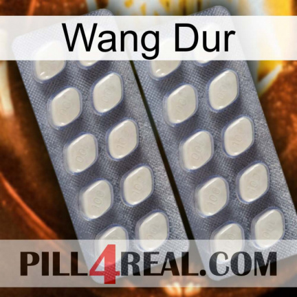 Hard Wang 07